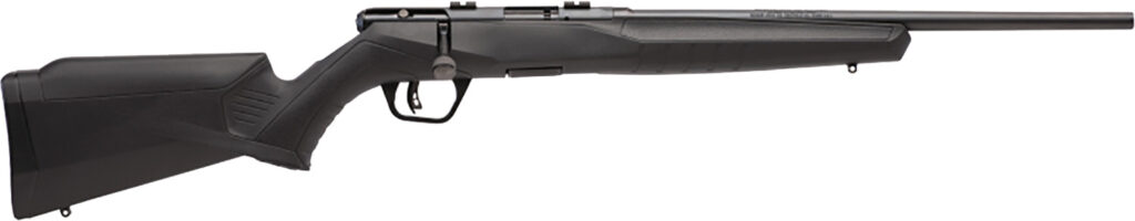 SAV B17F COMP 17HMR BA 10RD