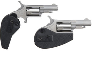 NAM MINI-REV 22LR 1.625SS HGRP