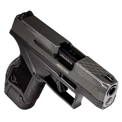 Taurus GX4 9mm Gray Graph 13RD