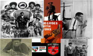 Read more about the article The Black Tradition of Arms Essay