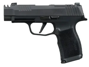 1163429-14365802.webp SIG SAUER P365XL COMP M.S. 380ACP PISTOL 3.1" X SERIES, O.R. 2-12RD MAG