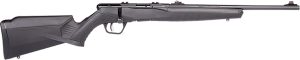 70214.jpg SAV B22F COMP 22LR BA 10RD SYN