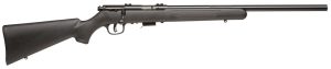 96700.jpg SAV 93R17-FV 17HMR BA RFL HB B