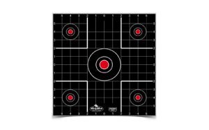 B/C DIRTY BIRD SIGHT IN TGT 12-12"