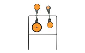 BC46422_1.jpg B/C WRLD OF TGTS DUPLEX SPIN TGT