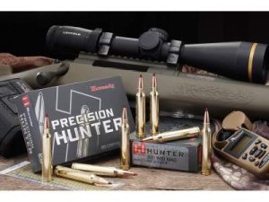 H81174-2__82180__71952.1541607518.1280.1280.jpg Hornady 30-06 Precision Hunter H81174 178 gr ELD-X 20 rounds