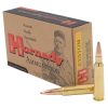 H8132_1.jpg HRNDY 250 SAVAGE 100GR SP INT 20/200
