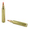 H83204_4.jpg HRNDY 204RUGER 32GR VMAX 20/200