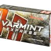H8327_3.jpg HRNDY 223REM 55GR VMAX 20/200