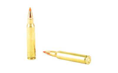H8327_4.jpg HRNDY 223REM 55GR VMAX 20/200