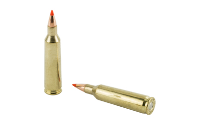 H83366_4.jpg HRNDY SF 22-250 50GR VMAX 20/200
