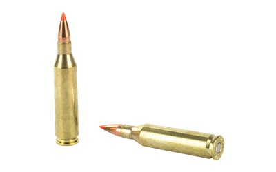 H8343_4.jpg HRNDY SF 243WIN 58GR VMAX 20/200