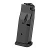 MAG RUGER LCP MAX 380ACP 10RD