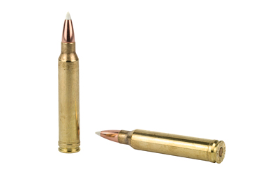 NOS60059_4.jpg NOSLER 300WIN 180GR AB 20/200
