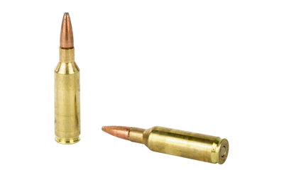 REM27874_4.jpg REM 7MMSAUM 150GR PSP CL 20/200