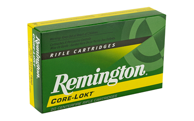 REM29497_2.jpg REM 300WIN 180GR PSP CL 20/200