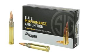 SGE3WMM1_1.jpg SIG AMMO 300WIN 190GR OTM 20/200