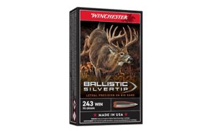 WNSBST243A_1.jpg WIN BLSTC TIP 243WIN 95GR 20/200