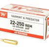 WNUSA222502_1.jpg WIN USA 22-250 REM 45GR JHP 40/400