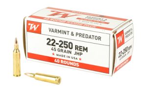 WNUSA222502_1.jpg WIN USA 22-250 REM 45GR JHP 40/400