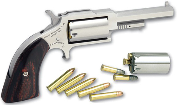 NAA 22LR/22MAG 2.5" SHERIFF