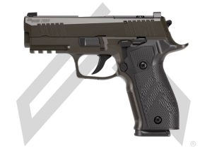 image-full-8296-4135a239b2d78a081b6b17bab6ea8f41.jpg SIG SAUER P226 X CARRY LEGION 9MM PISTOL 3.8" DA/SA SIGLOC PRO O.R. GRY 3-18RD MAGS