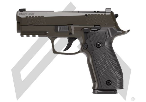 image-full-8296-4135a239b2d78a081b6b17bab6ea8f41.jpg SIG SAUER P226 X CARRY LEGION 9MM PISTOL 3.8" DA/SA SIGLOC PRO O.R. GRY 3-18RD MAGS