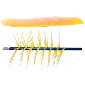 OLYMPUS DIGITAL CAMERA Trueflight Spiral Wrap Flu-Flu Feathers Yellow RW 100 pk.