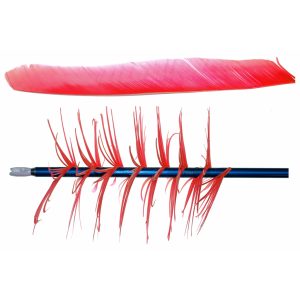 OLYMPUS DIGITAL CAMERA Trueflight Spiral Wrap Flu-Flu Feathers Red RW 100 pk.