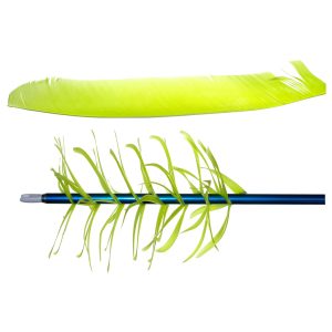 OLYMPUS DIGITAL CAMERA Trueflight Spiral Wrap Flu-Flu Feathers Chartreuse RW 100 pk.