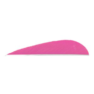 8427_1.jpg Trueflight Parabolic Feathers Pink 3 in. RW 100 pk.
