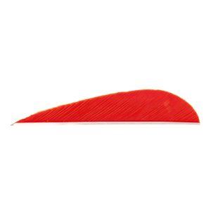 8437_1.jpg Trueflight Parabolic Feathers Red 3 in. LW 100 pk.