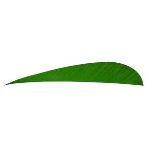 8456_1.jpg Trueflight Parabolic Feathers Green 4 in. RW 100 pk.